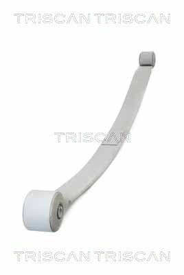TRISCAN 8765 16058 Federnpaket