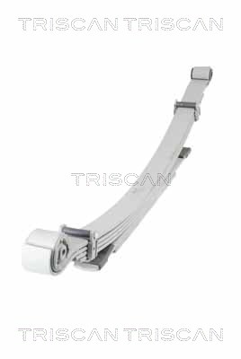 TRISCAN 8765 16060 Federnpaket