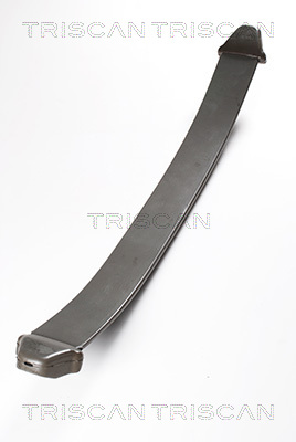 TRISCAN 8765 23001 Federnpaket