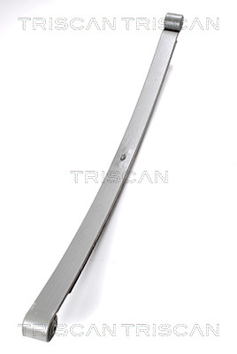 TRISCAN 8765 23017 Federnpaket