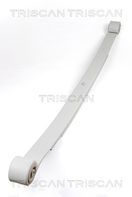 TRISCAN 8765 23020 Federnpaket