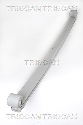 TRISCAN 8765 23022 Federnpaket