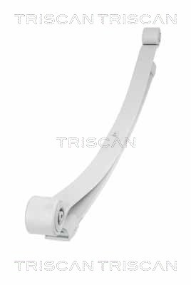 TRISCAN 8765 23026 Federnpaket
