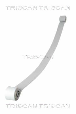 TRISCAN 8765 23034 Federnpaket