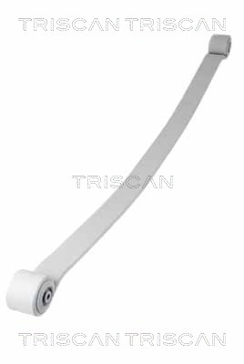 TRISCAN 8765 23041 Federnpaket