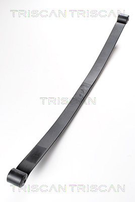 TRISCAN 8765 24006 Federnpaket