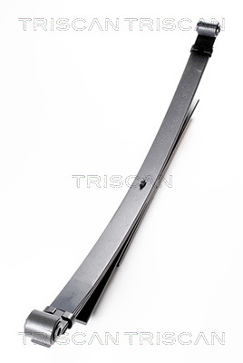 TRISCAN 8765 28001 Federnpaket