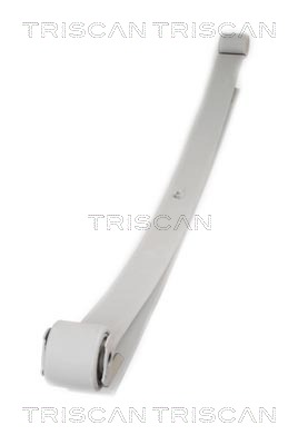 TRISCAN 8765 28005 rugóköteg
