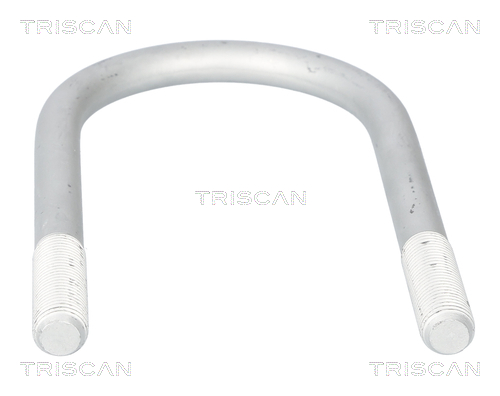 TRISCAN 8765 830001 Federbride