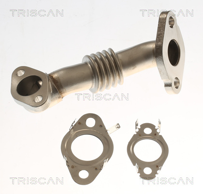 TRISCAN 8811 29000 Rohrleitung, AGR-Ventil