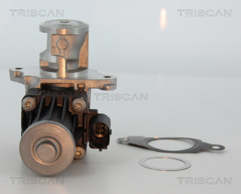 TRISCAN 8813 10004 AGR-Ventil
