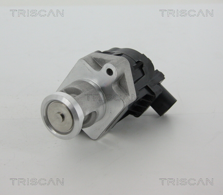 TRISCAN 8813 10006 AGR-Ventil