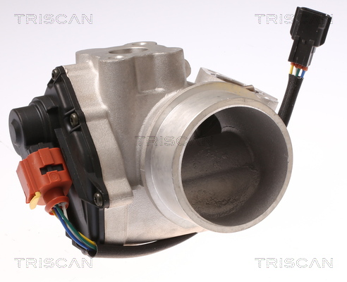 TRISCAN 8813 10012 AGR-Ventil