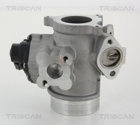 TRISCAN 8813 10012 AGR-Ventil