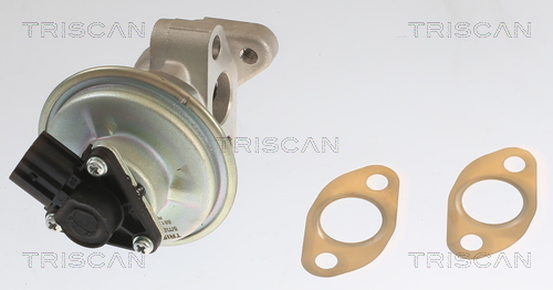 TRISCAN 8813 10054 AGR-Ventil