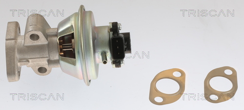 TRISCAN 8813 10054 AGR-Ventil