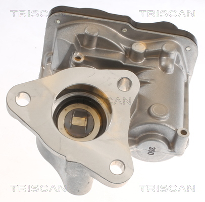 TRISCAN 8813 10055 AGR-Ventil