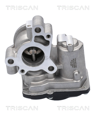 TRISCAN 8813 10056 AGR-Ventil