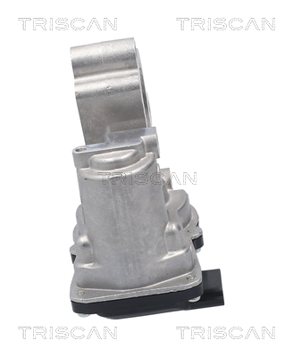 TRISCAN 8813 10056 AGR-Ventil