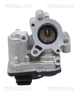 TRISCAN 8813 10056 AGR-Ventil