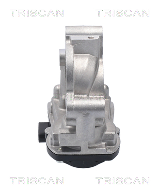 TRISCAN 8813 10056 AGR-Ventil