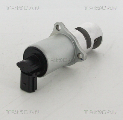 TRISCAN 8813 10100 Agr-Ventil