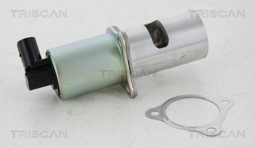 TRISCAN 8813 10100 Agr-Ventil