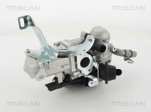TRISCAN 8813 10103 Agr-Ventil