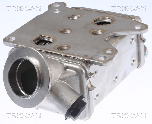 TRISCAN 8813 10113 Kühler, Abgasrückführung