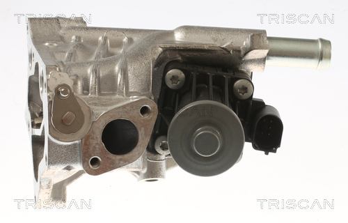 TRISCAN 8813 10118 AGR-Ventil