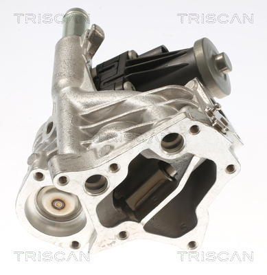 TRISCAN 8813 10118 AGR-Ventil