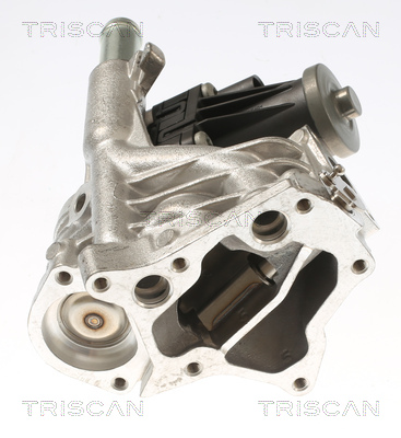 TRISCAN 8813 10118 AGR-Ventil