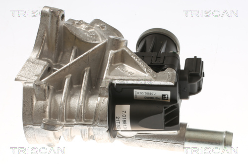 TRISCAN 8813 10118 AGR-Ventil