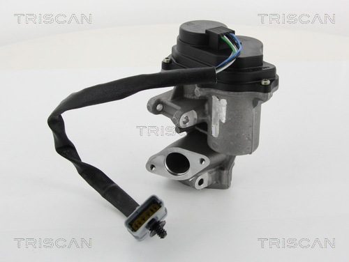 TRISCAN 8813 10201 Agr-Ventil