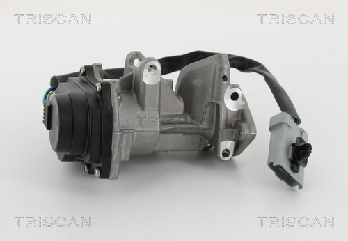 TRISCAN 8813 10201 Agr-Ventil
