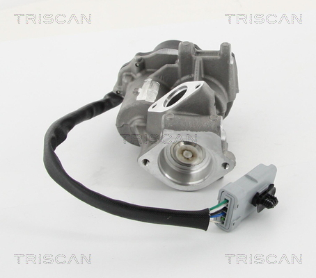 TRISCAN 8813 10202 Agr-Ventil