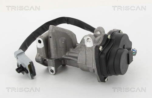 TRISCAN 8813 10202 Agr-Ventil