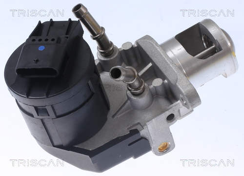 TRISCAN 8813 11001 Agr-Ventil