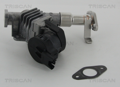 TRISCAN 8813 11006 AGR-Ventil