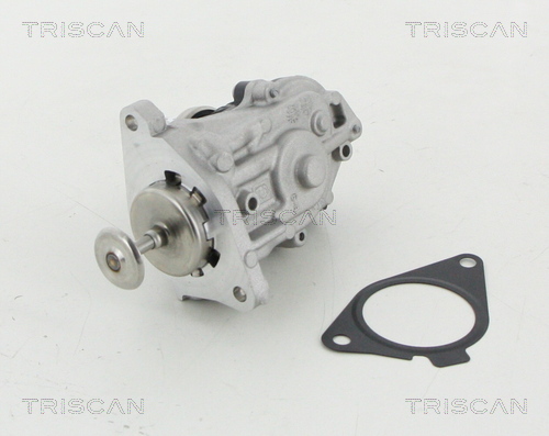 TRISCAN 8813 11007 AGR-Ventil