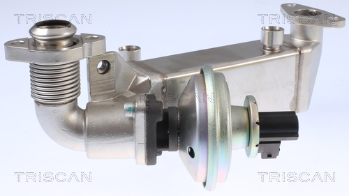 TRISCAN 8813 11009 AGR-Ventil