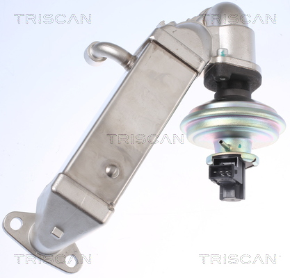 TRISCAN 8813 11009 AGR-Ventil