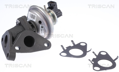 TRISCAN 8813 11010 AGR-Ventil