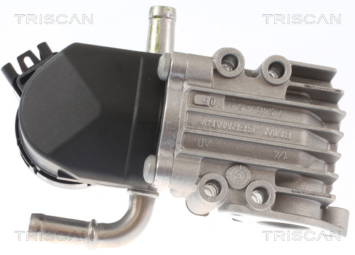 TRISCAN 8813 11011 AGR-Ventil