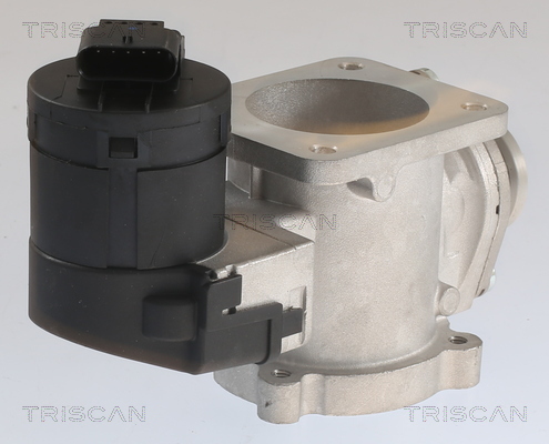 TRISCAN 8813 11020 AGR-Ventil