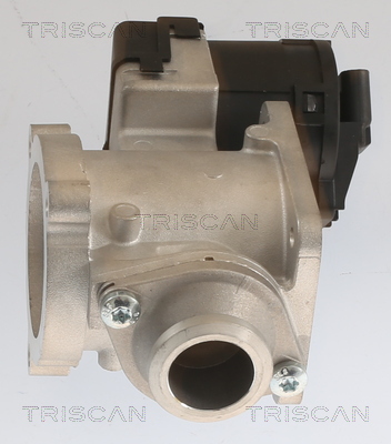 TRISCAN 8813 11020 AGR-Ventil