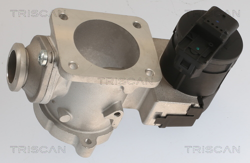 TRISCAN 8813 11020 AGR-Ventil