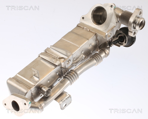 TRISCAN 8813 11021 Kühler, Abgasrückführung
