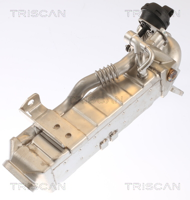 TRISCAN 8813 11022 Kühler, Abgasrückführung