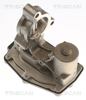 TRISCAN 8813 11023 AGR-Ventil